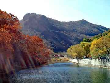 新澳天天开奖资料大全旅游团，柱状苹果树